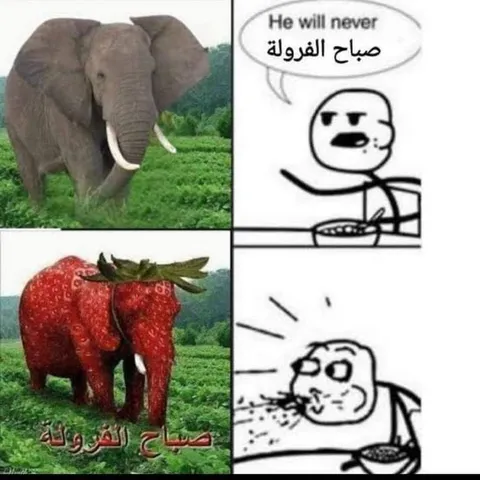 صباح الفراولة