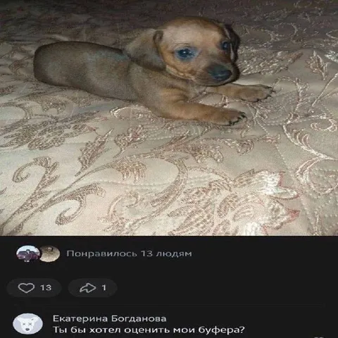 Щенок и оценка буферов