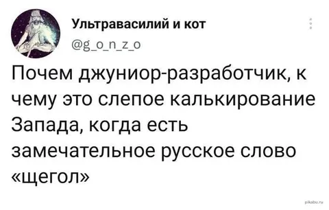Джуниор-разработчик и щегол