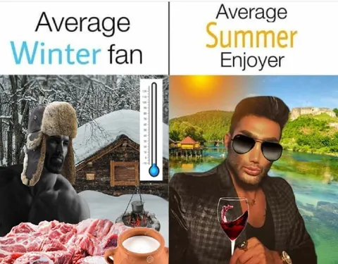 Average Winter Fan vs Summer Enjoyer
