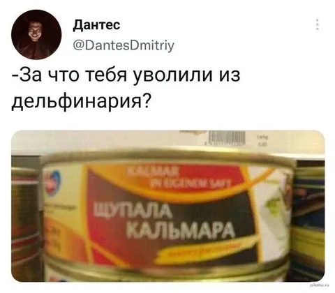 Уволили из дельфинария