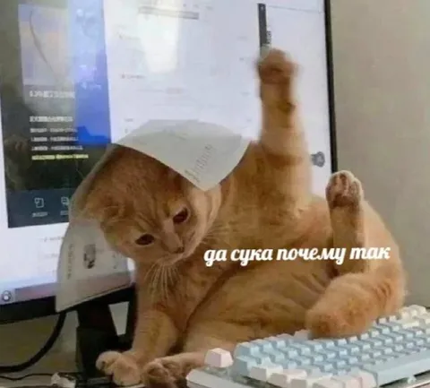 Да сука почему так