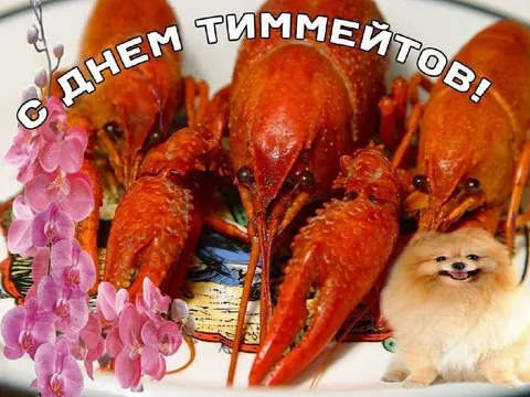 С днём тишинытов
