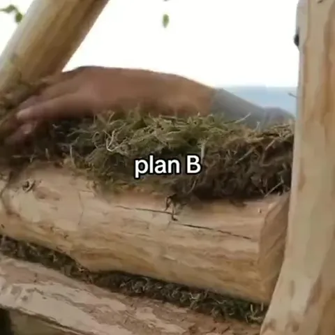 Plan B Keeps Getting Worse