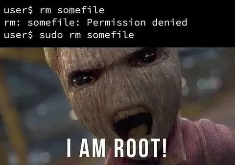Groot Gets Root Access