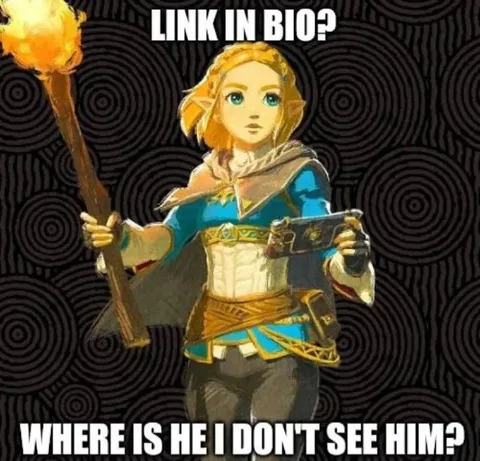 Link in Bio Confusion