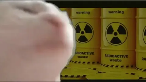 Cat Near Radioactive Waste