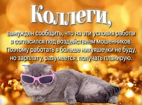 Кот увольняется, но зарплату получает
