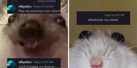 May My Erection Rise Ma'am