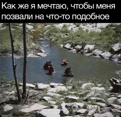 Мечтаю о таком приглашении