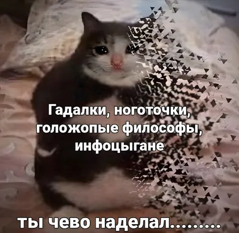Ты чего наделал, котик