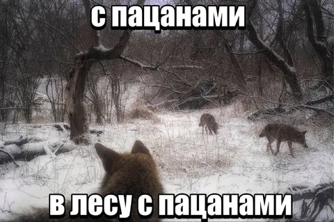 В лесу с пацанами