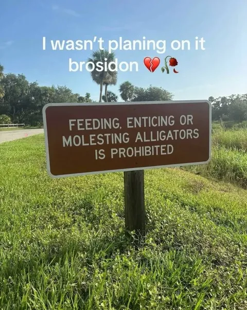 I Wasn't Planning on It