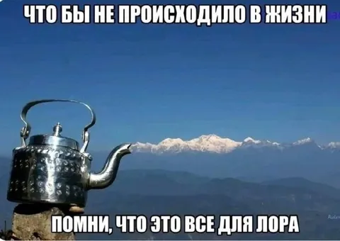 Всё для Лоры