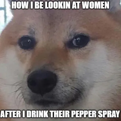 Dog After Drinking Pepper Spray