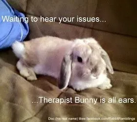 Therapist Bunny Is All Ears