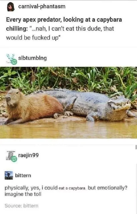 Capybara and Crocodile Emotional Toll