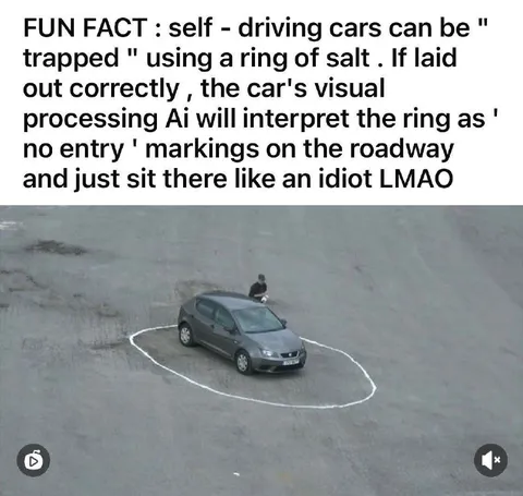 Self-Driving Car Trapped by Salt