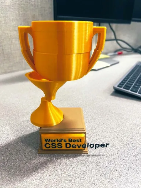 World's Best CSS Developer Trophy