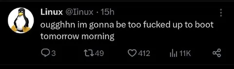 Too Fucked Up to Boot