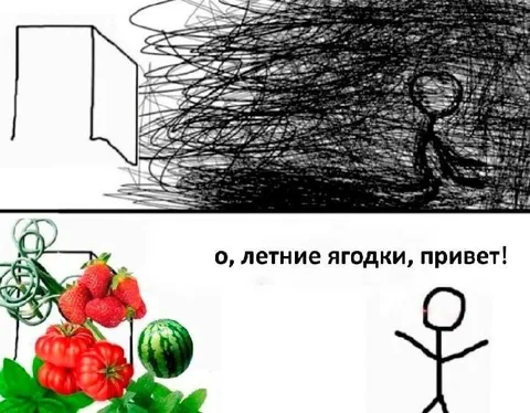 Летние ягодки, привет
