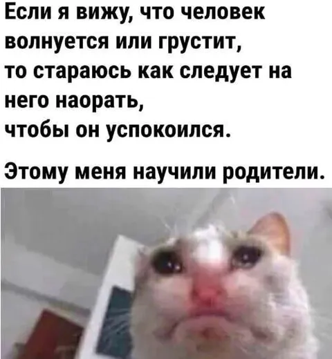 Кот утешает криком