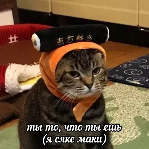 Кот в костюме сяке маки