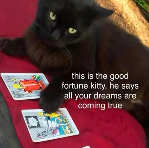 Good Fortune Kitty