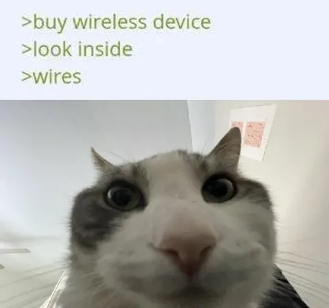 Wireless Device Has Wires