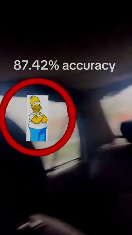 87.42% Accuracy Homer Tracker