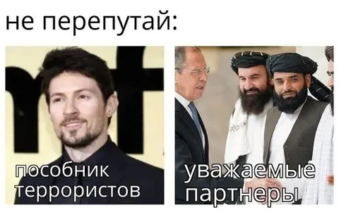 Не перепутай пособника и партнёров