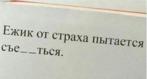Ёжик пытается съежиться