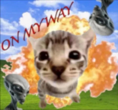Cat on My Way Explosion