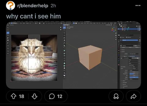 Why Can't I See Him Blender Meme