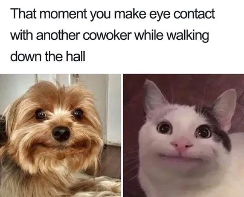 Coworker Eye Contact in the Hall