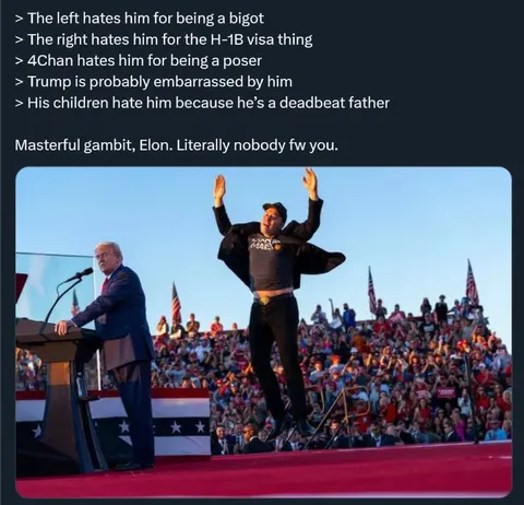 Nobody Likes Elon Musk