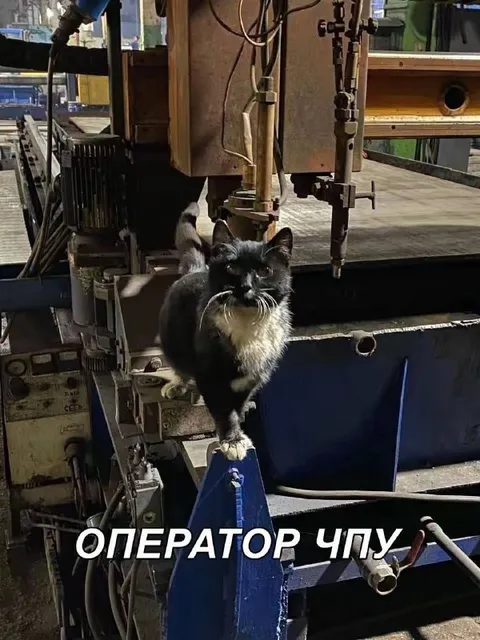 Оператор ЧПУ-кот