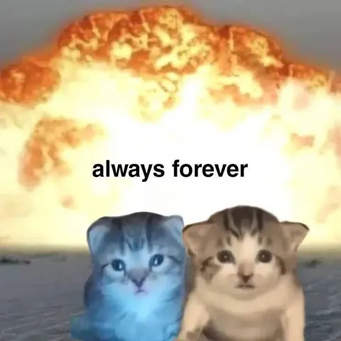 Always Forever Cats