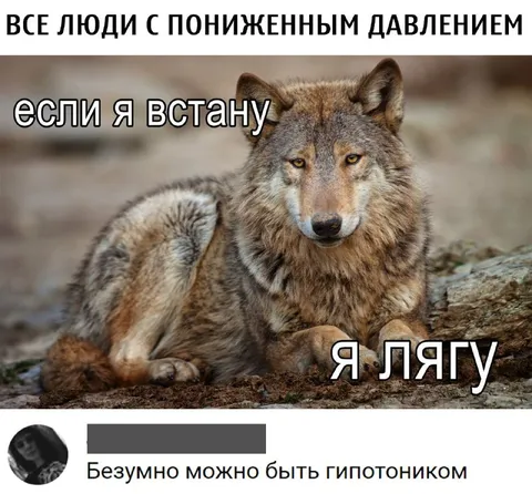 Волк с пониженным давлением