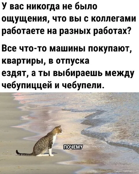 Выбираешь между чебупиццей и чебупели