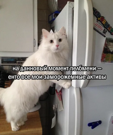 Пельмени — замороженные активы