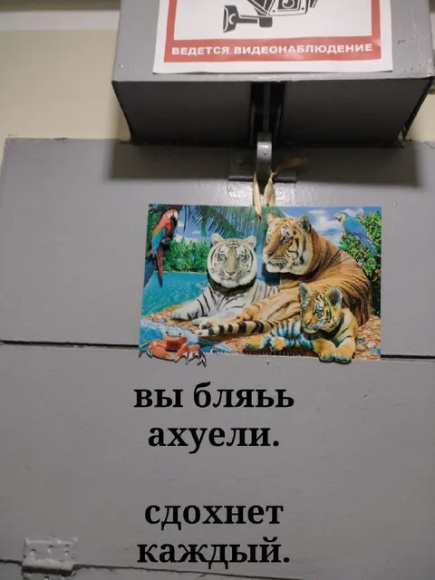 Вы бляь ахуели, сдохнет каждый