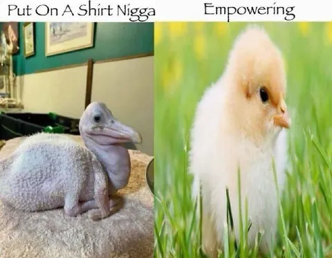 Put On A Shirt Empowering Chick