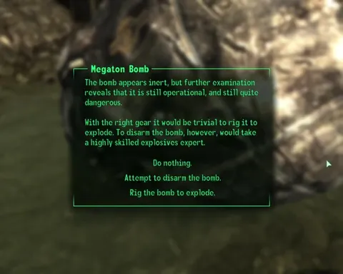 Megaton Bomb Fucky Wucky