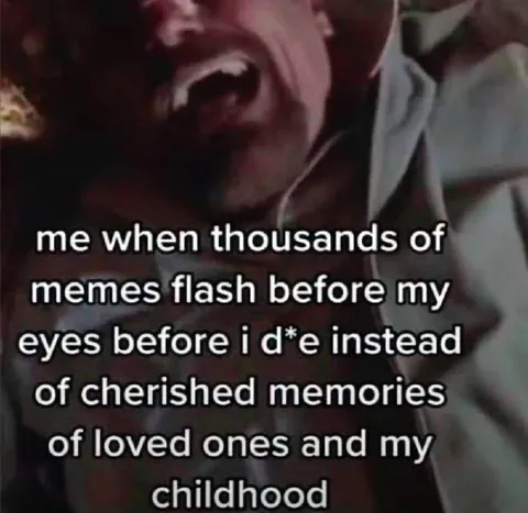 Thousands of Memes Flash Before Death