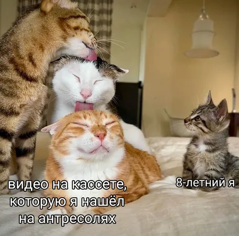 Видео на кассете из детства