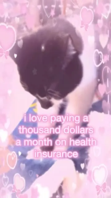 Cat Loves American Healthcare