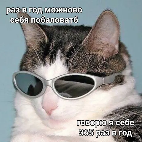 Кот балует себя каждый день