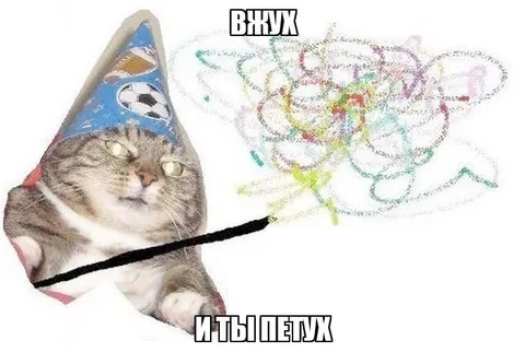 Кот объясняет рисунок