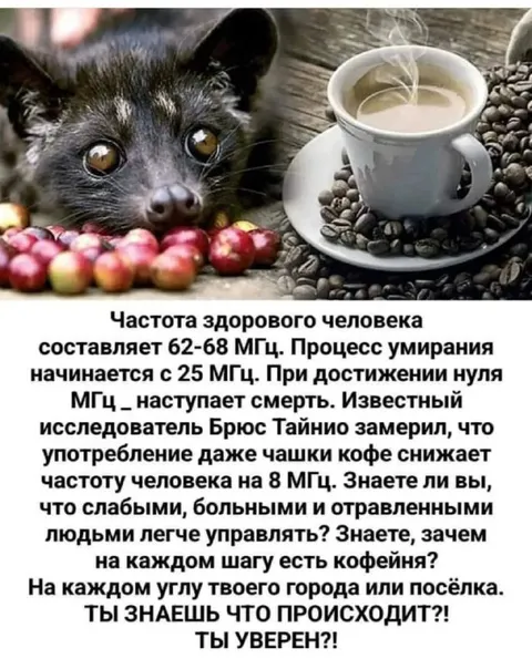 Частота здорового человека и кофе